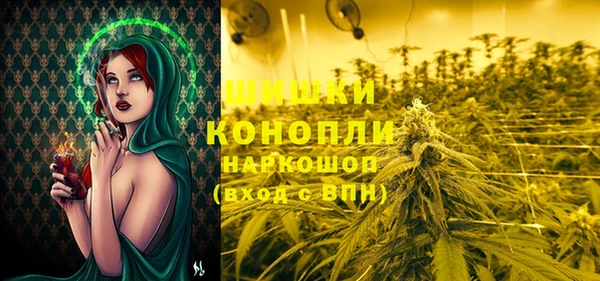 ешки Белокуриха
