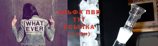 ешки Белокуриха