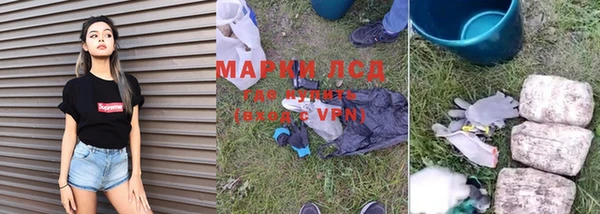 ешки Белокуриха