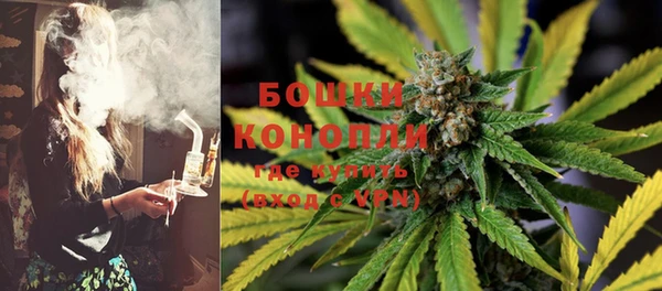 ешки Белокуриха